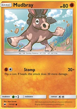 Mudbray